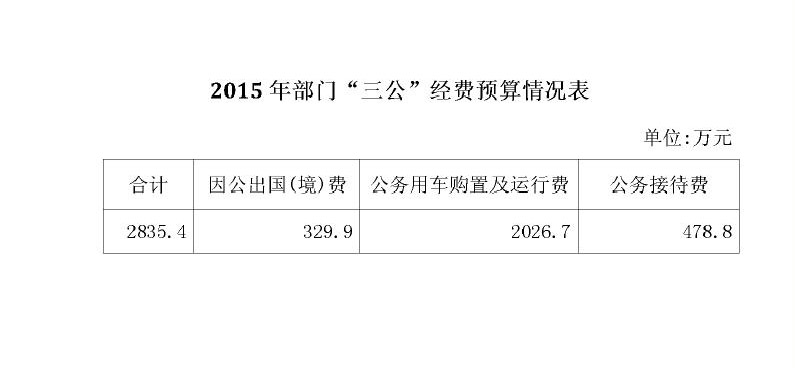 預(yù)算情況表