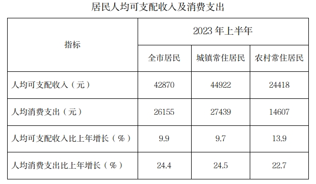 上半年收入圖片.jpg